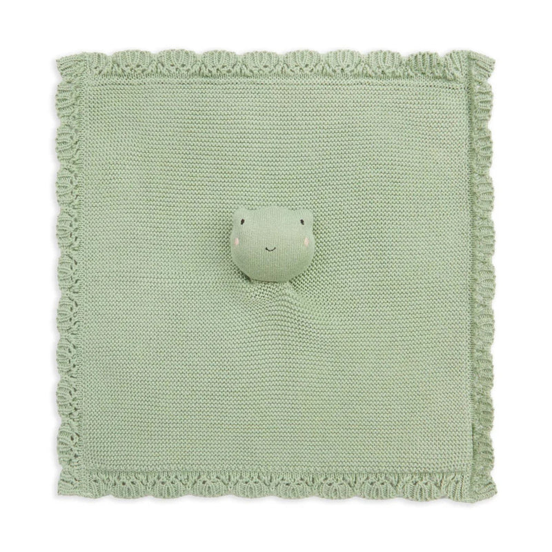 Organic Cuddle Cloth, Frog