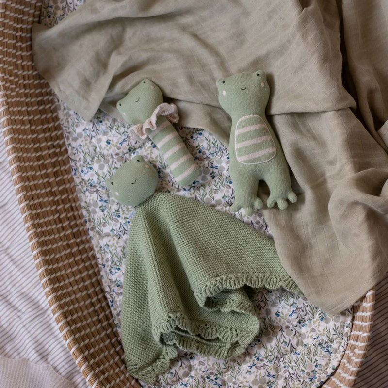 Organic Cuddle Cloth, Frog