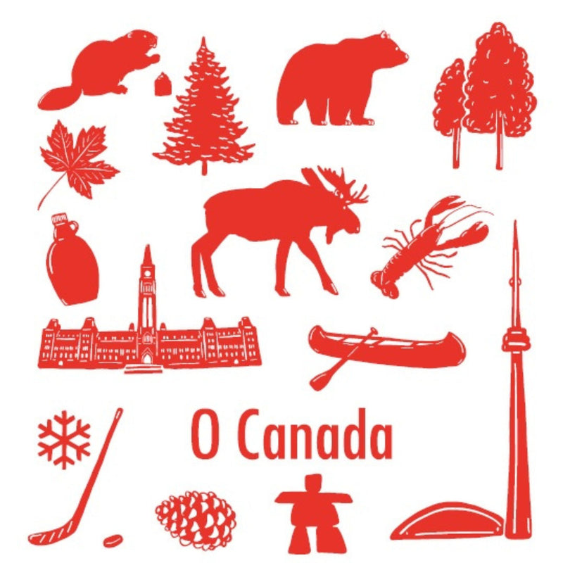 Multi-Purpose Dishcloth