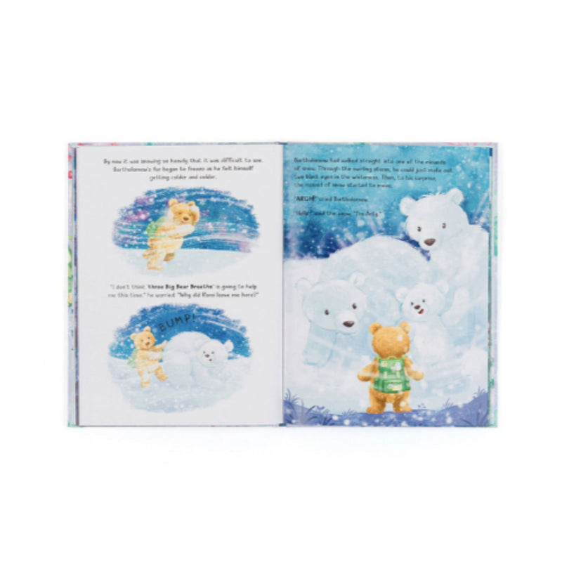 Bartholomew Bear and the Snow Giants Book