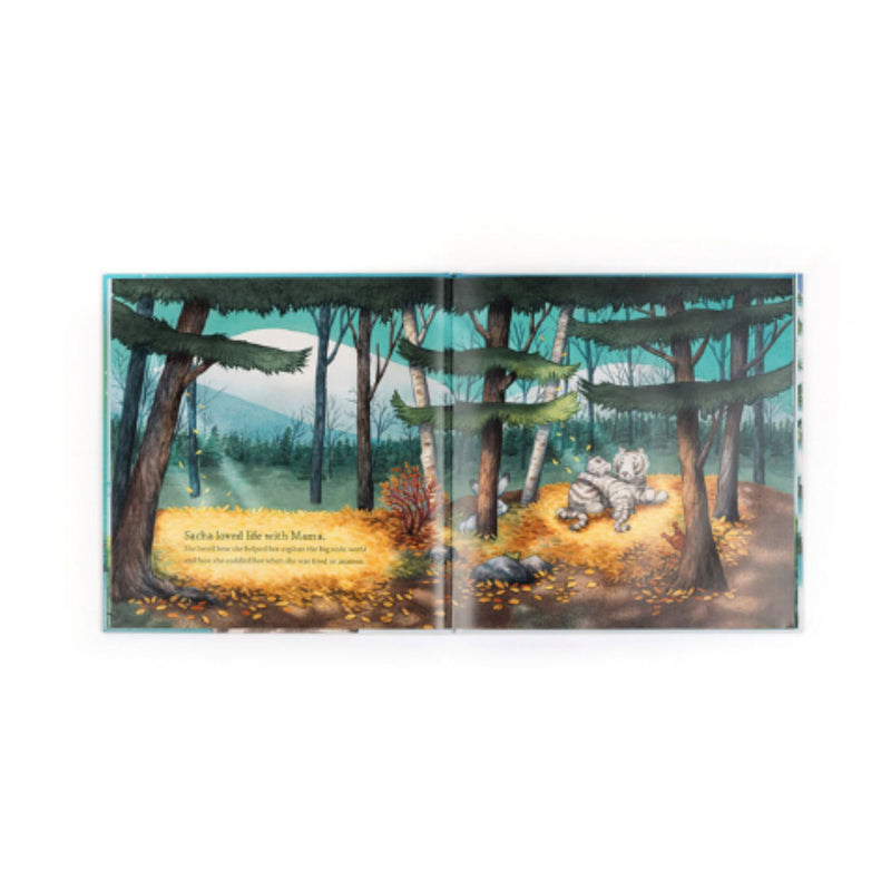 Sacha and the Most Wonderful Thing Book