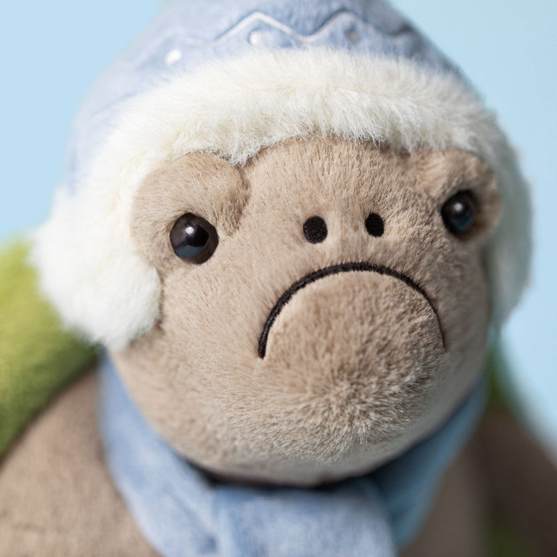 Timmy Turtle 'Skating'