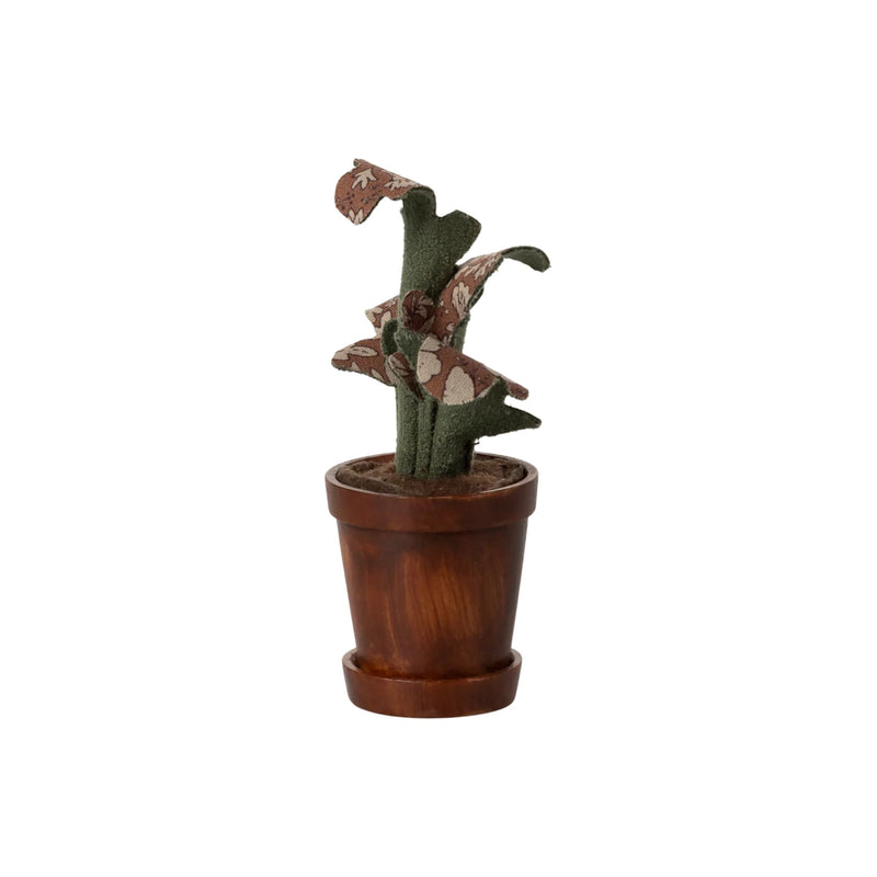 Miniature Flower Pot with Plant