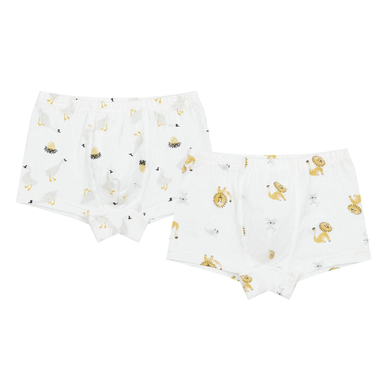 Bamboo Boys Boxer Underwear (2pack)