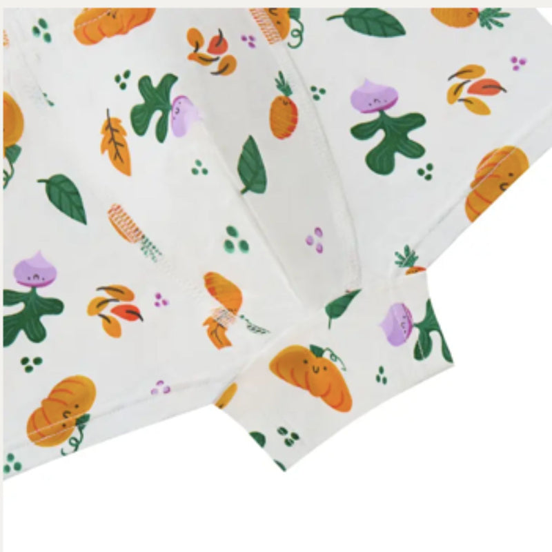 Bamboo Boys Boxer Underwear (2pack)