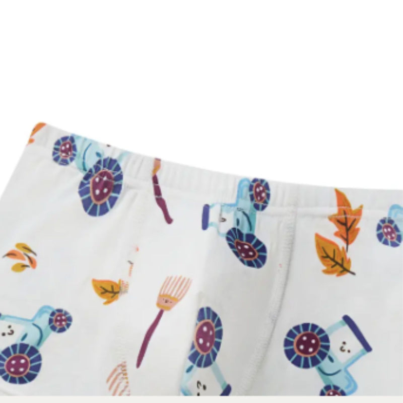 Bamboo Boys Boxer Underwear (2pack)