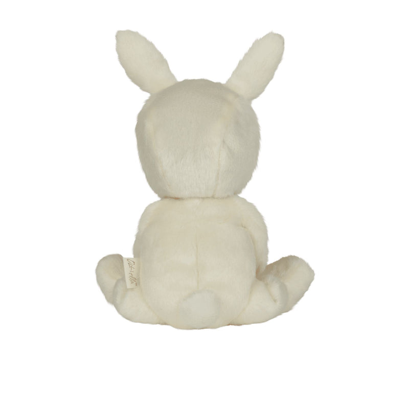 Dinky Dinkum Dolls Fluffle Family