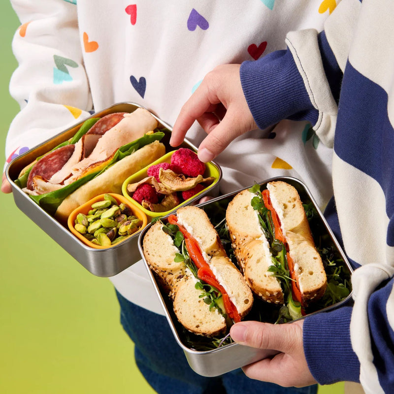 Trailblazer Sandwich Box
