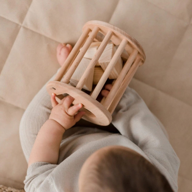 Roll me Shape Sorter