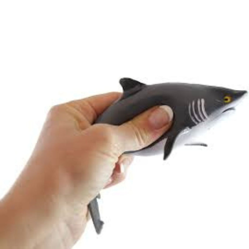 Stretchy Sand Sea Life