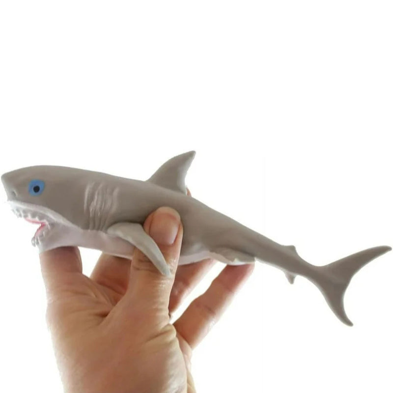 Stretchy Sand Sea Life