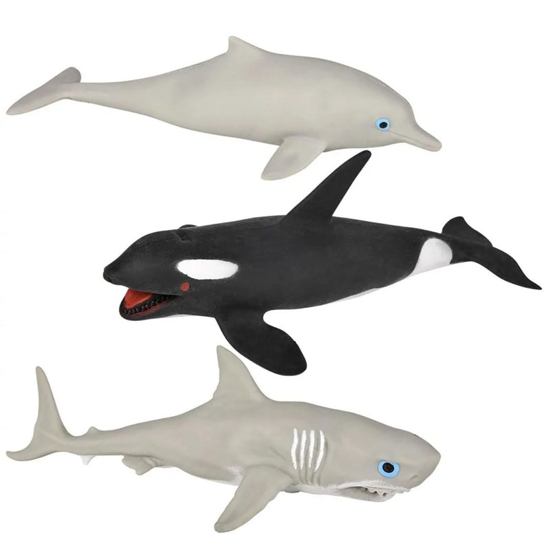 Stretchy Sand Sea Life