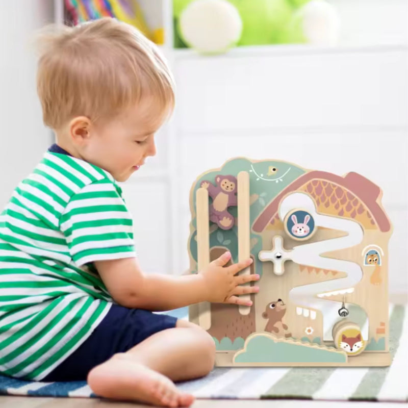 2 in 1 Activity Ball Track