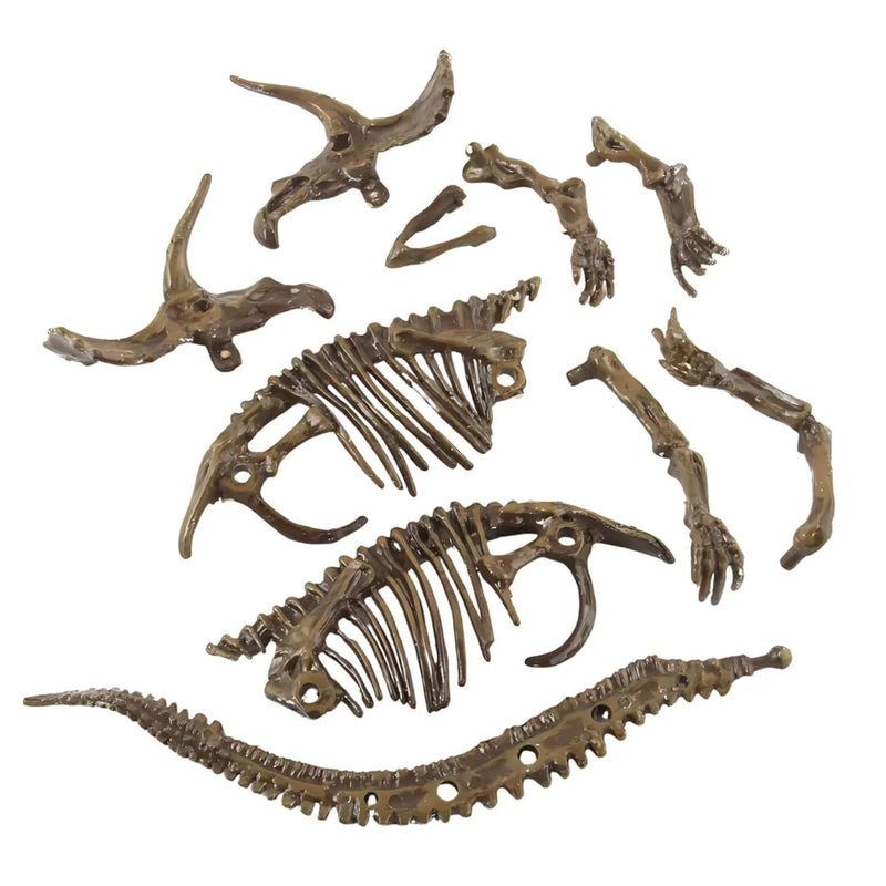 Archaeology Dinosaur Fossil 3D Puzzle