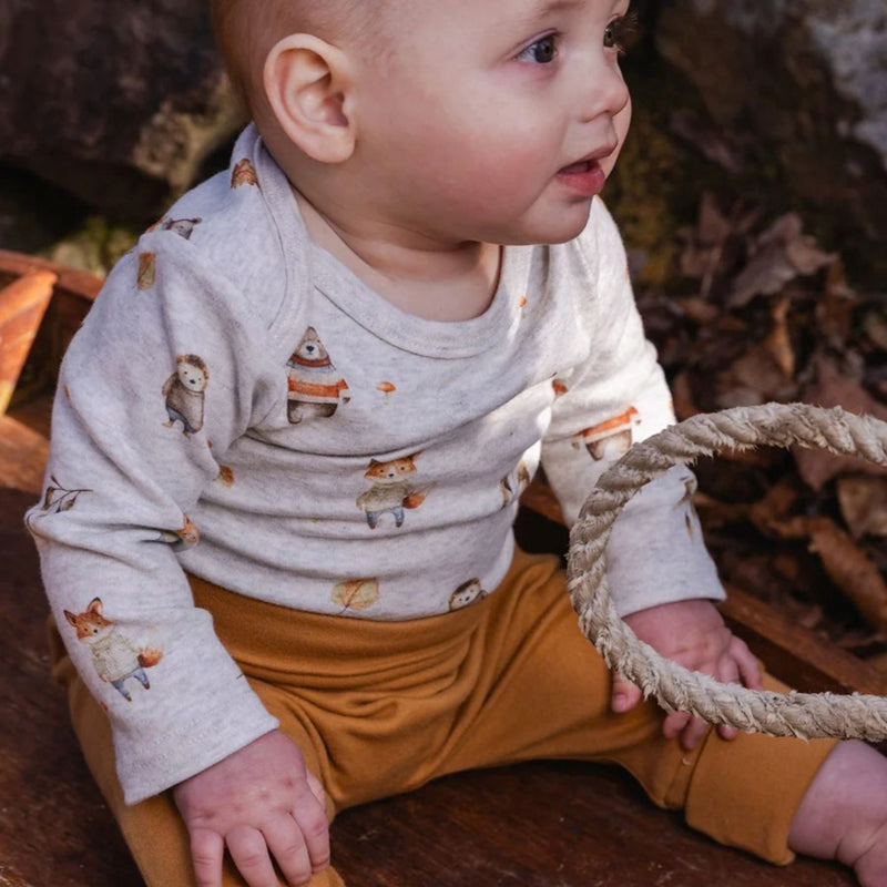 Organic Cotton Onesie and Evolution Pants Set, Animal Print