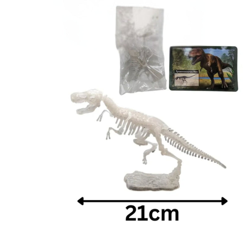 Dinosaurs Glowing Kits 3D Skeleton