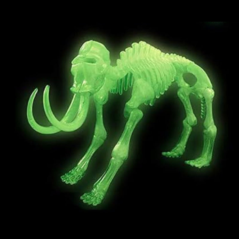Dinosaurs Glowing Kits 3D Skeleton