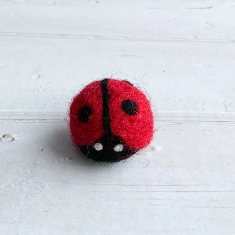 Felt Ladybug