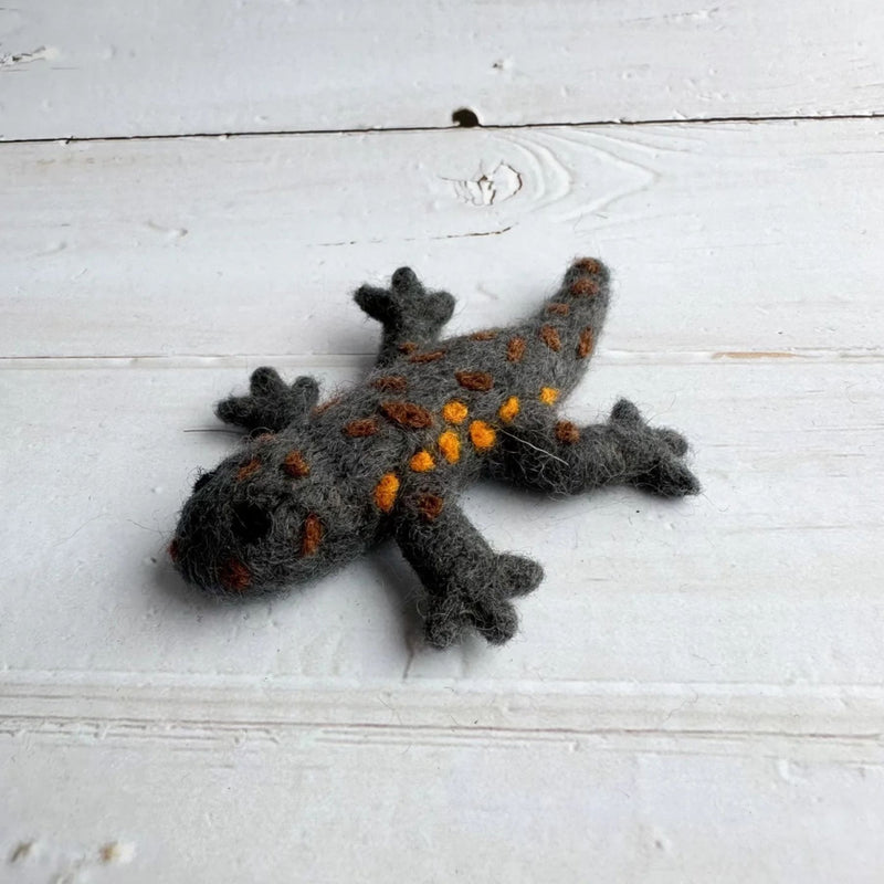 Felt Salamander