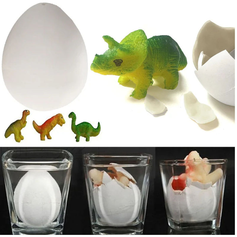 Growing Dinosaur Egg