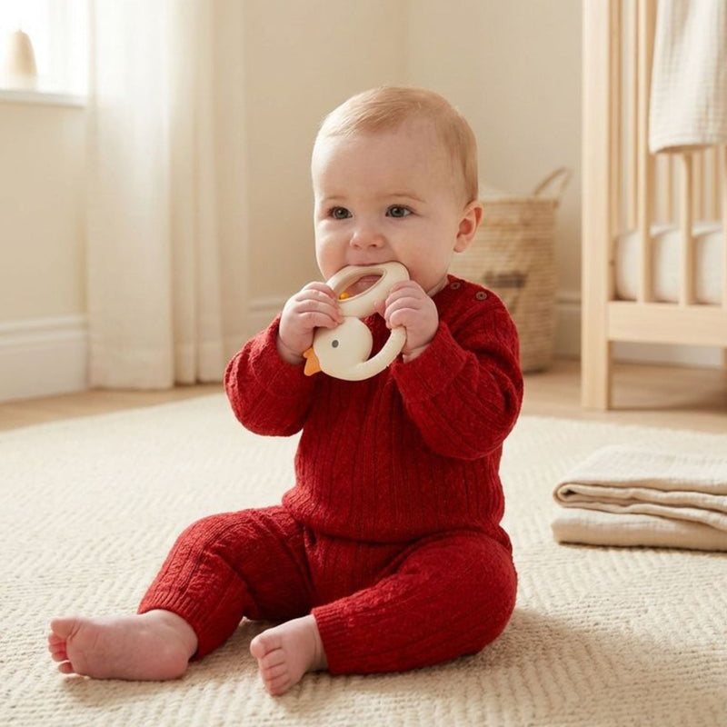 Bitzy Shake Silicone Teether + Rattle