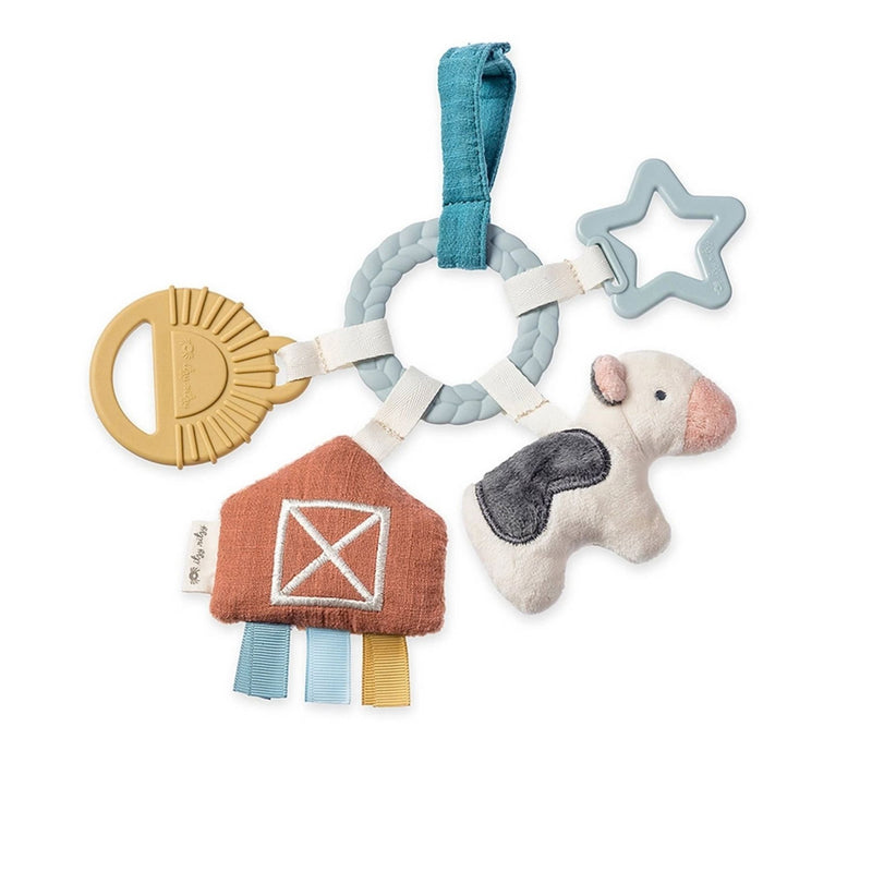 Bitzy Busy Gift Set