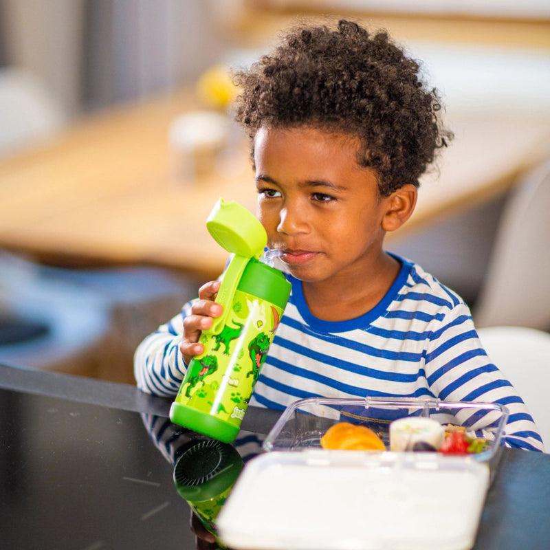 Charli Insulated Stainless Steel Straw Water Bottle, 350ml