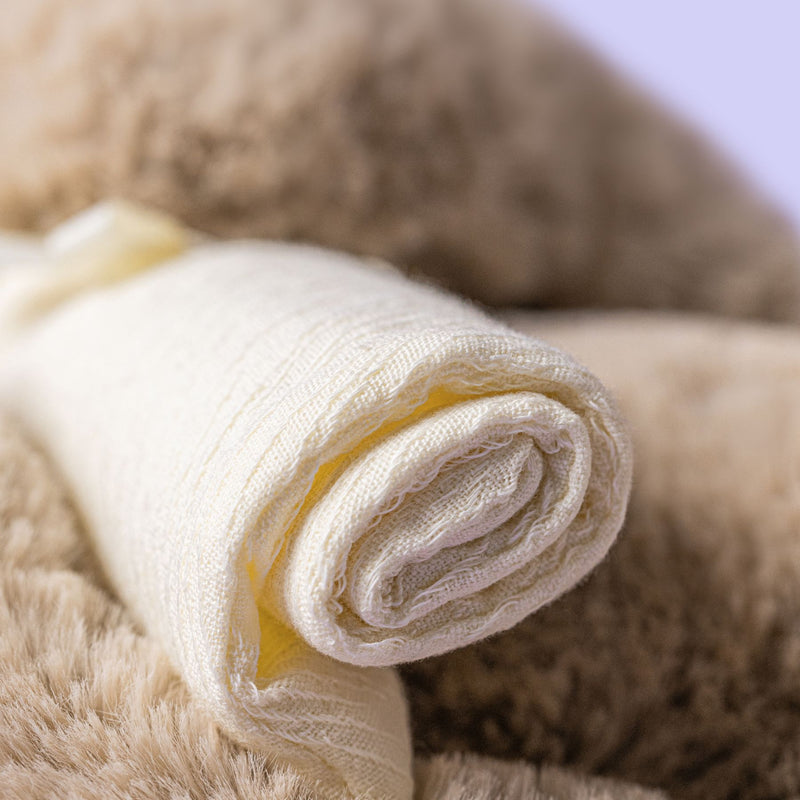 Bashful Bunny with Graduation Outfit