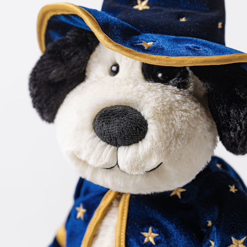 Rufferty Puppy 'Wizard'
