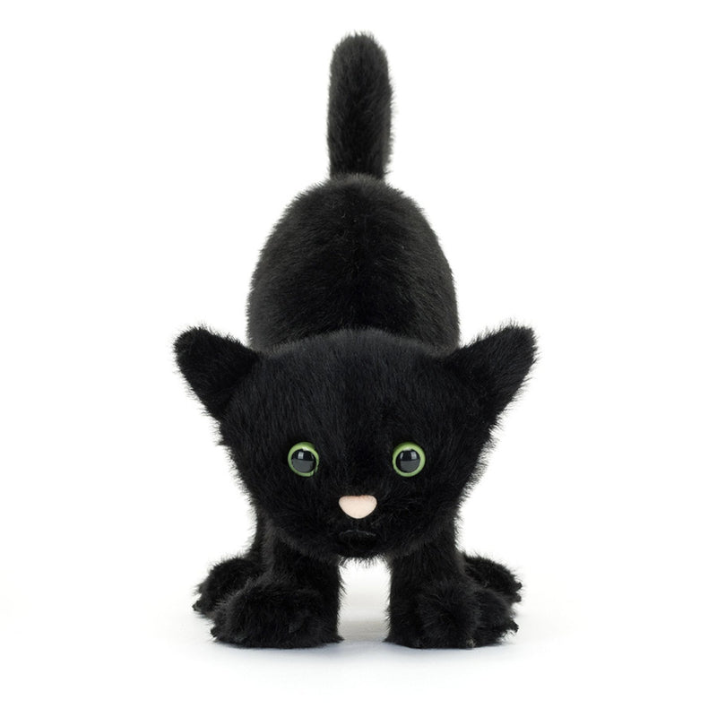 Spookipaws Cat