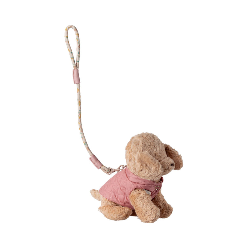 Pet Supply, Harness + Leash