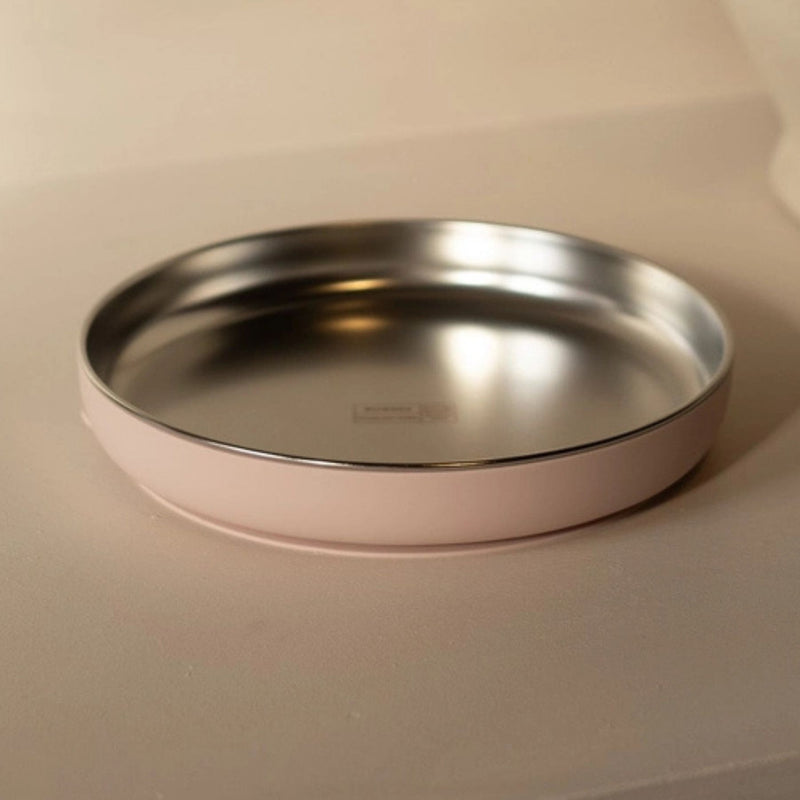 Stainless Steel Plate with Silicone Suction Base