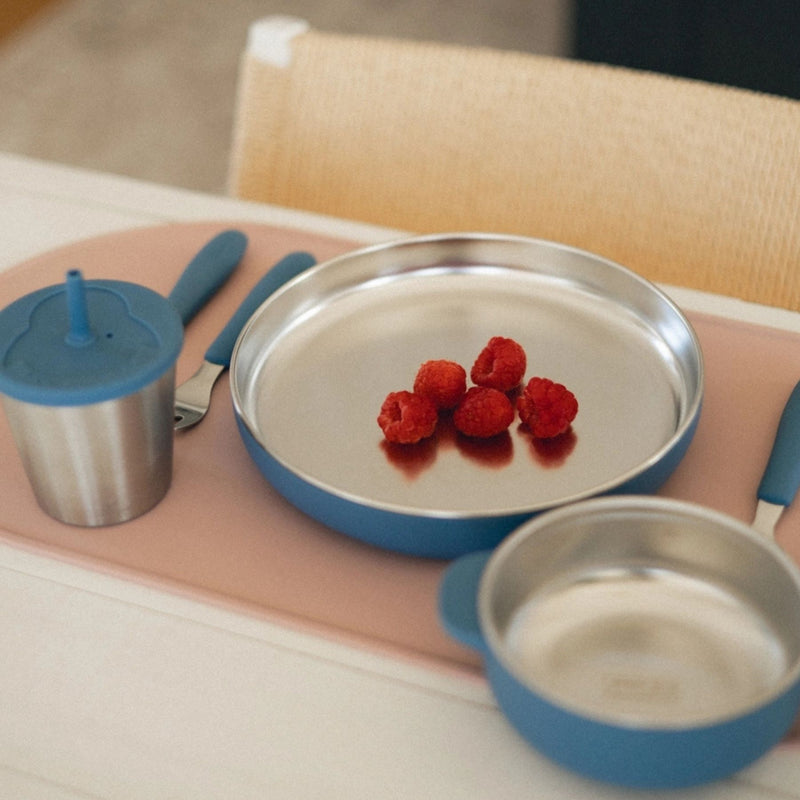 Stainless Steel Plate with Silicone Suction Base