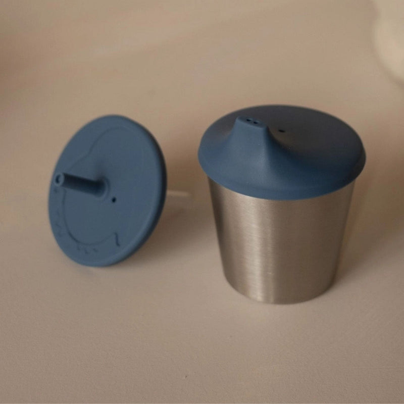 Stainless Steel Cup with Silicone Spout + Straw