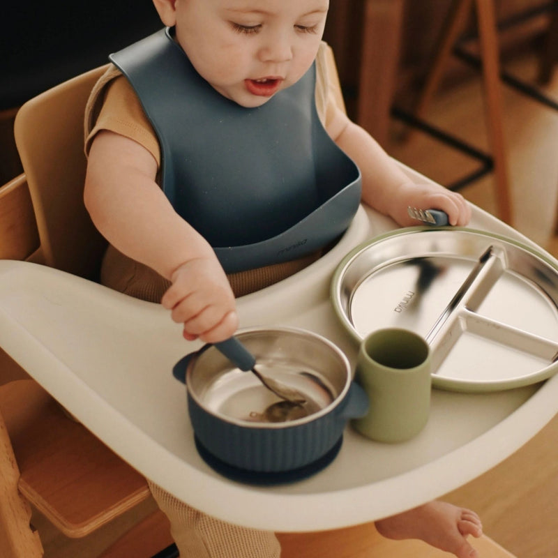 Stainless Steel Bowl with Silicone Suction Base