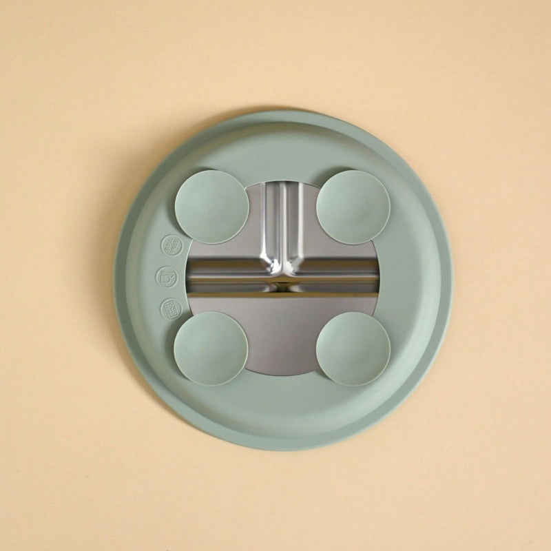 Stainless Steel Divided Plate with Silicone Suction Base