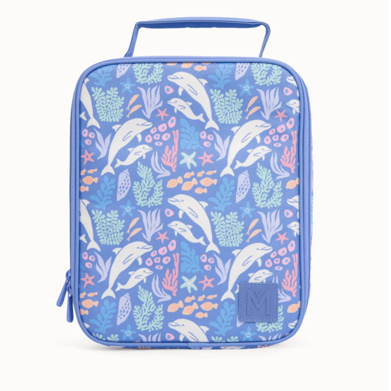 Large Insulated Lunch Bag