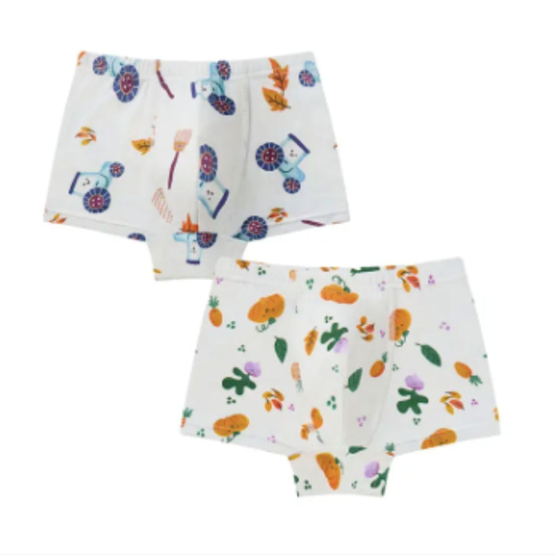 Bamboo Boys Boxer Underwear (2pack)