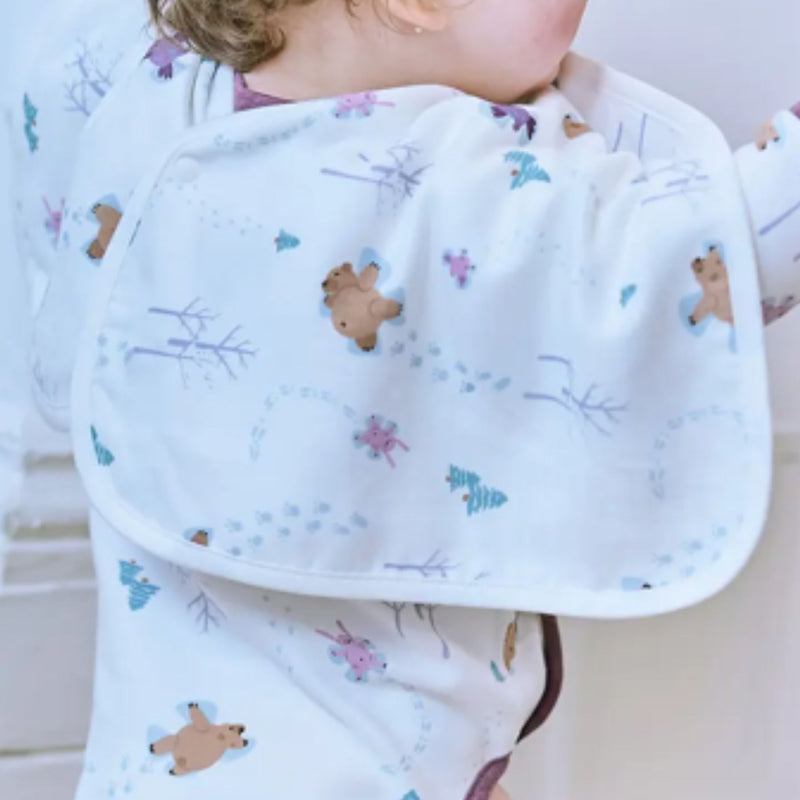 Bamboo Muslin Burp 'n Bib, 2 pack