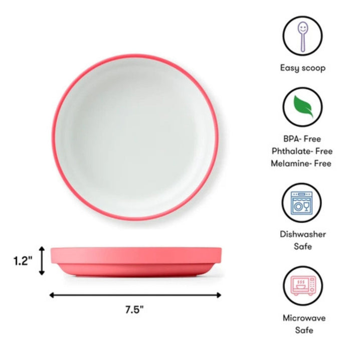 Omie Easy Scoop Plate + Divider Set