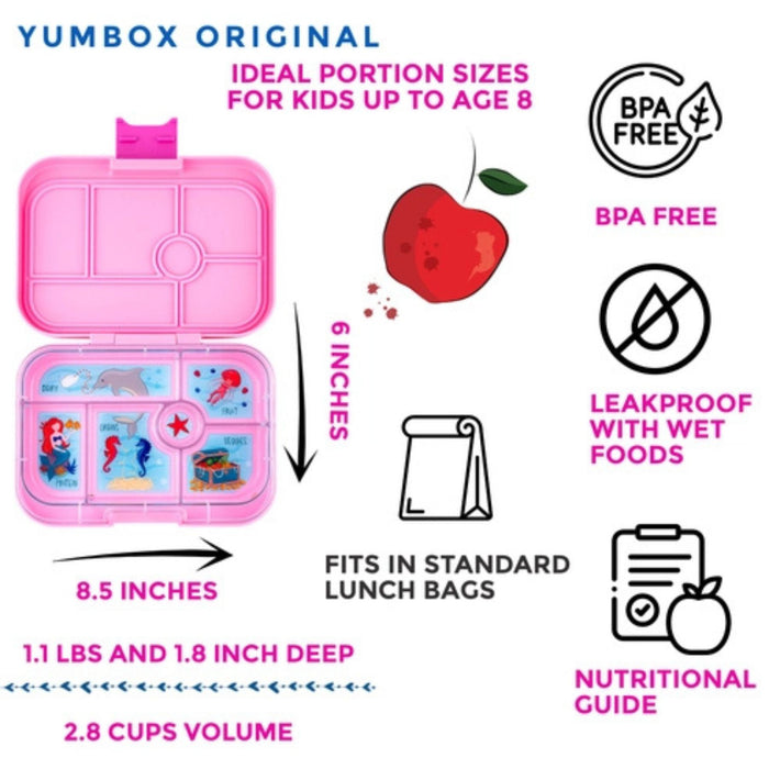 Bento Box - Original 6 Compartments