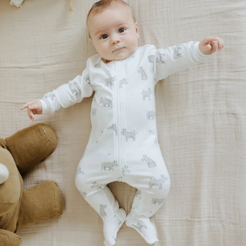 Rhinoceros Footed Sleeper