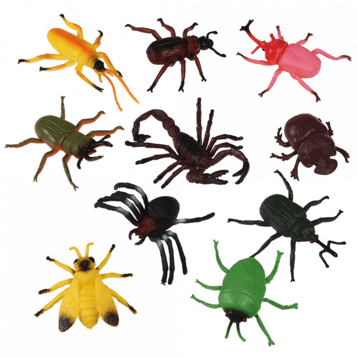 Assorted Creepy Crawlies