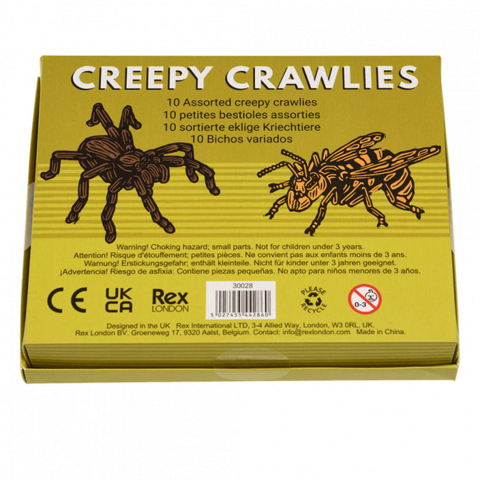 Assorted Creepy Crawlies