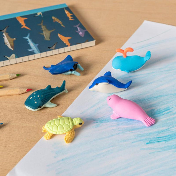 Ocean Erasers, Set of 6