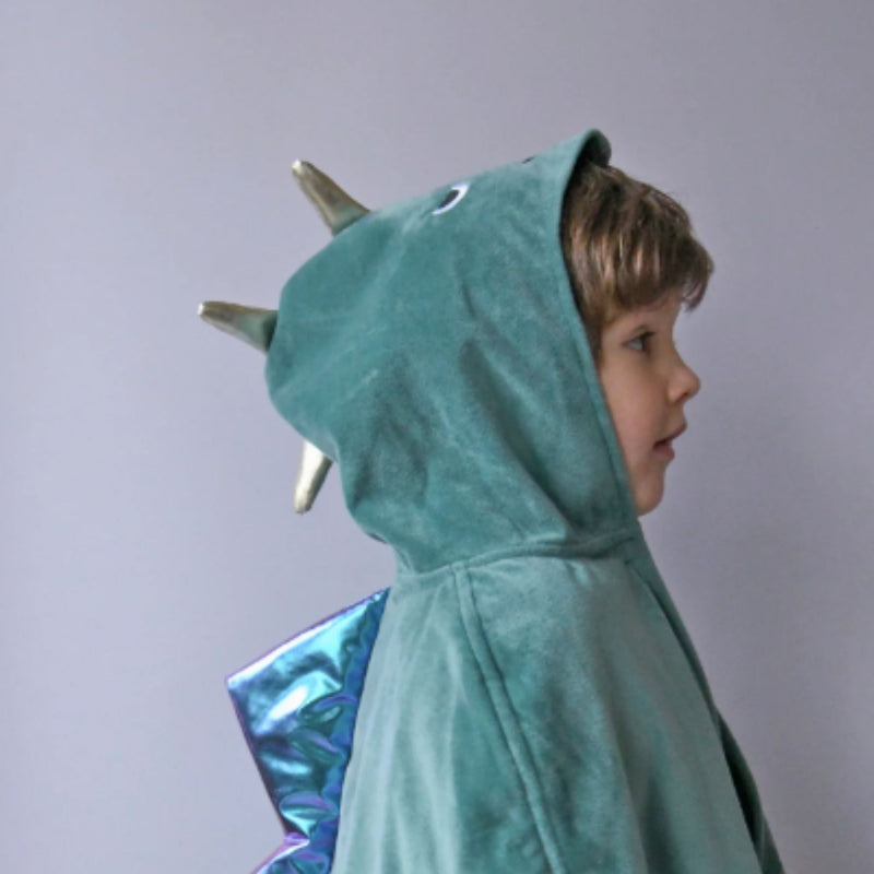 Dinosaur Dress Up Velvet Cape