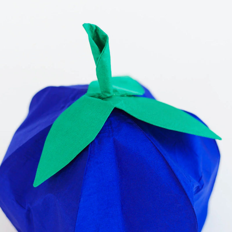 Blueberry Hat