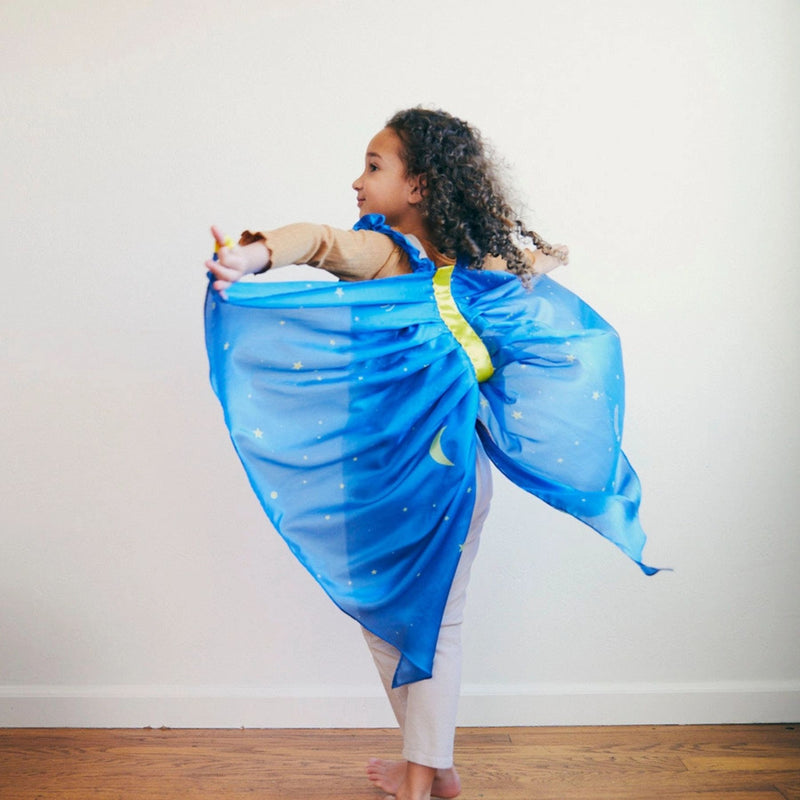 Silk Fairy Wings