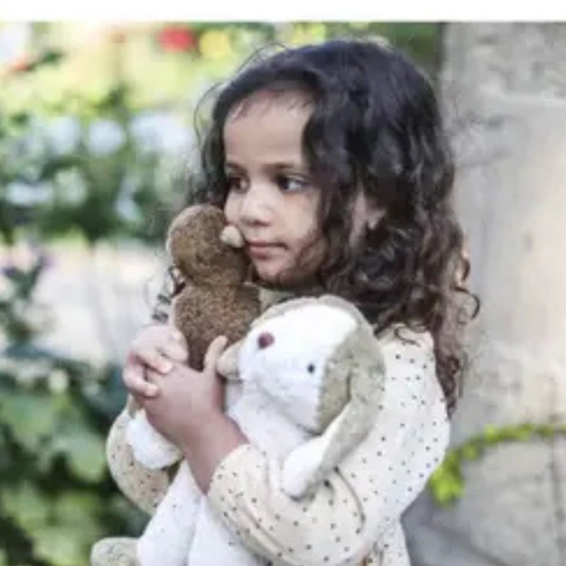 Organic Floppy Animals, Small Dog