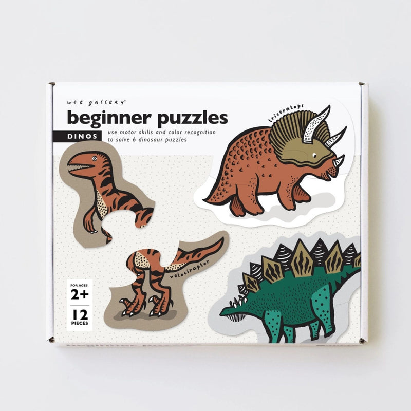 Beginner Puzzle Dino
